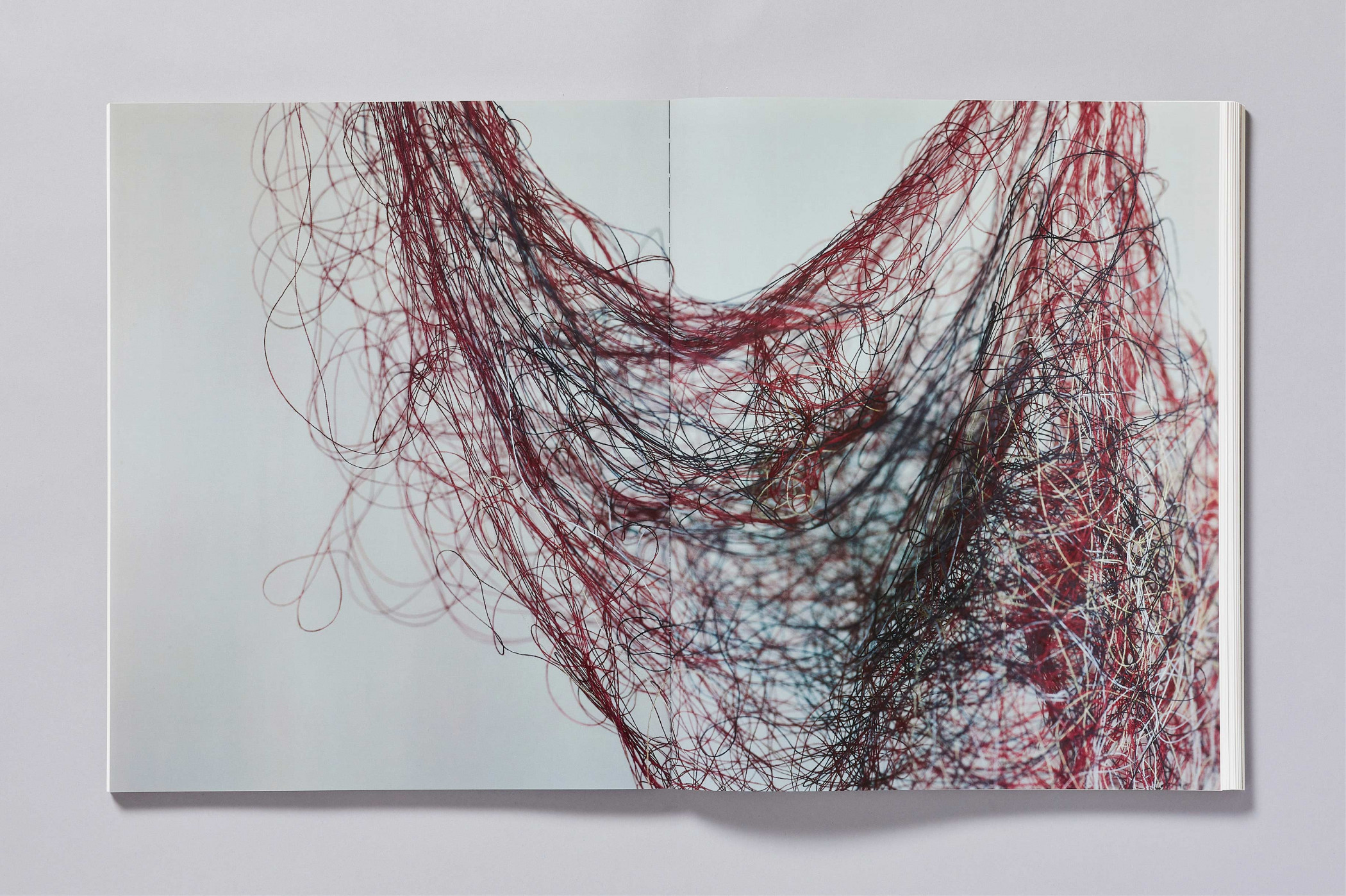 Richard Learoyd/aperture – Day for Night book – Cartlidge Levene