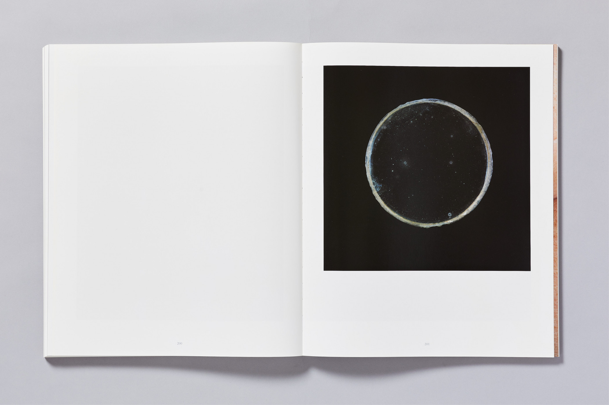 Richard Learoyd/aperture – Day for Night book – Cartlidge Levene