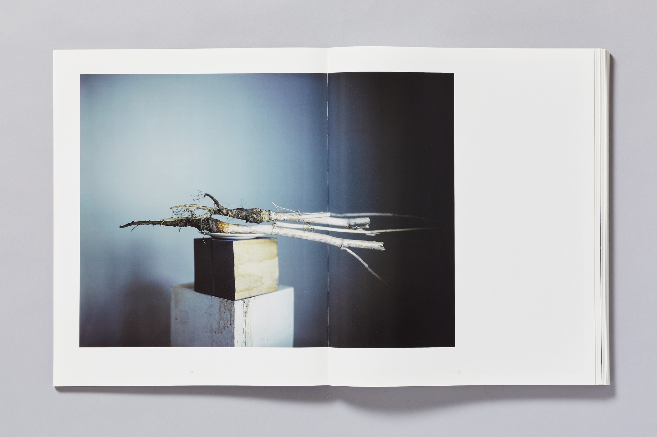 Richard Learoyd/aperture – Day for Night book – Cartlidge Levene